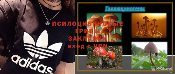 соль курить ск Гусь-Хрустальный