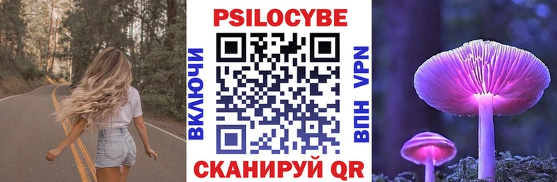 Псилоцибиновые грибы Psilocybine cubensis  Купить закладки  Котельниково 